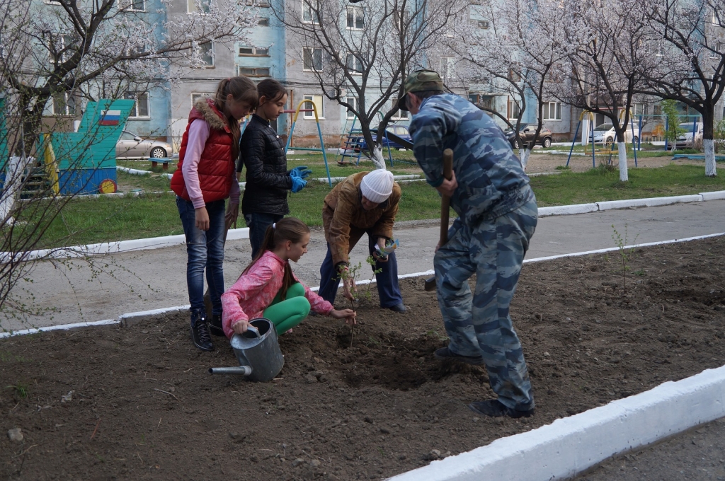 Березки садила участник Великой Отечественной войны, Фото с места события собственное