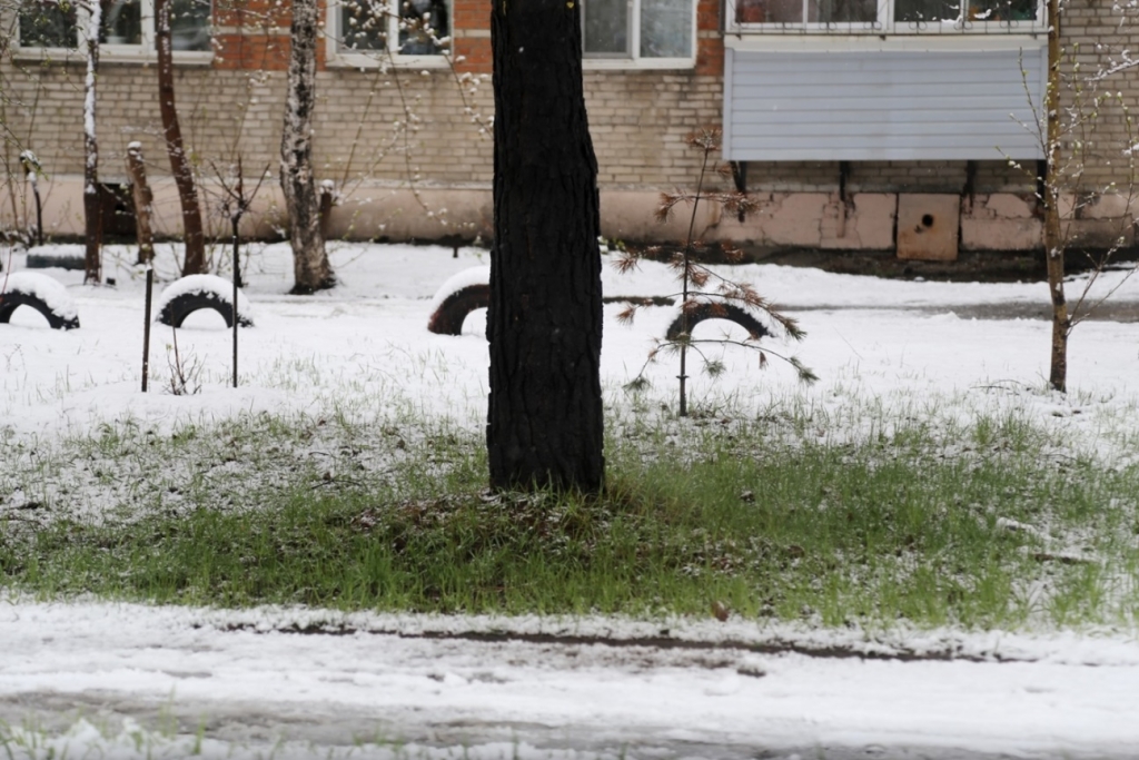 Снегопад обрушился на Хабаровск в разгар мая, Фото с места события собственное