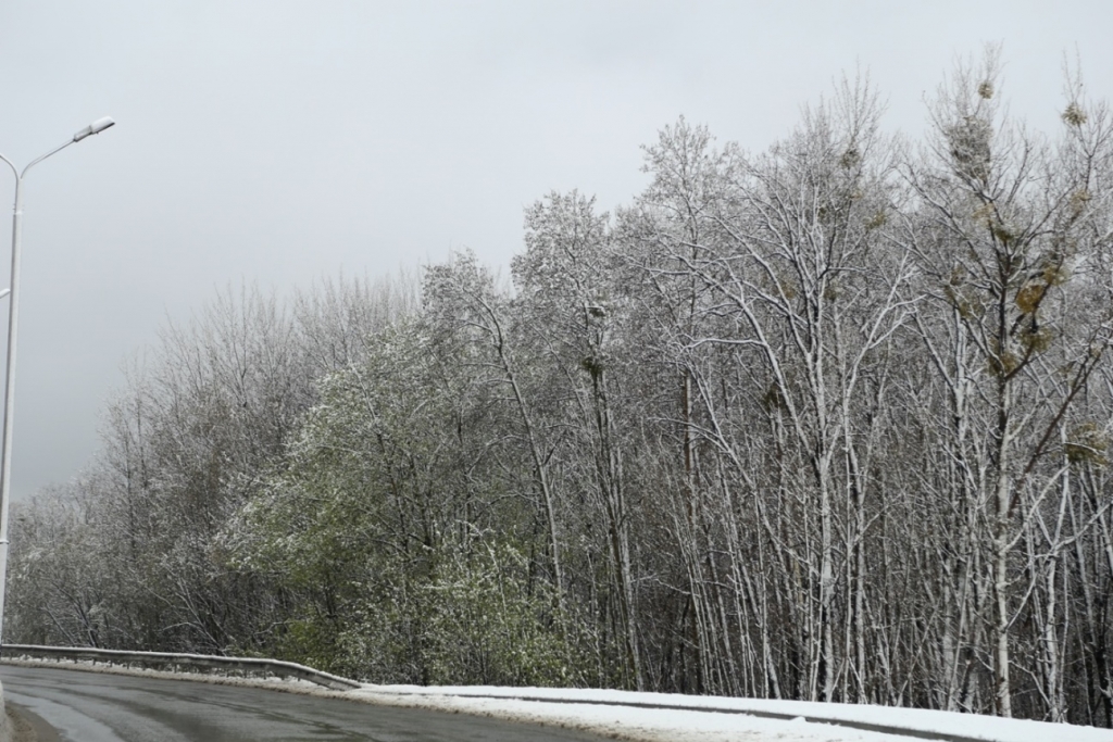 Снегопад обрушился на Хабаровск в разгар мая, Фото с места события собственное
