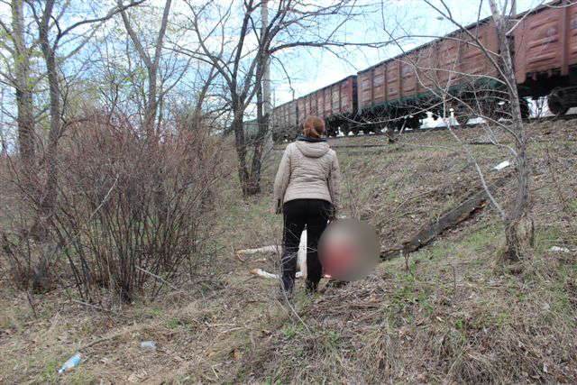 На Транссибе поезд сбил корову, Фото с места события собственное