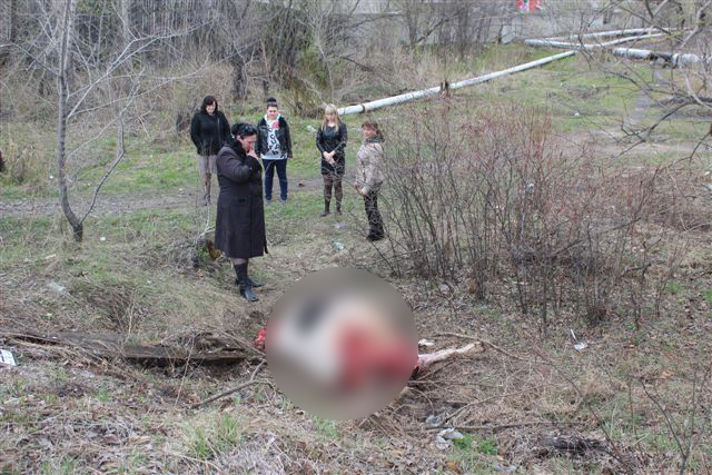 На Транссибе поезд сбил корову, Фото с места события собственное