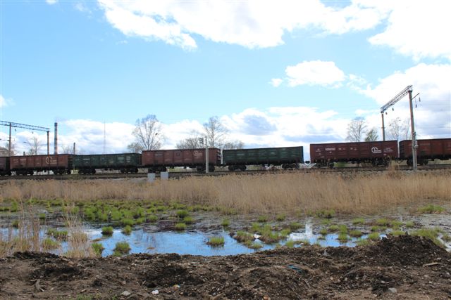 Почему-то трава лучше растет возле Транссиба, Фото с места события собственное