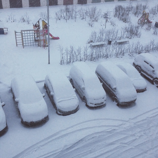 Снегопад в Магадане фото из социальных сетей