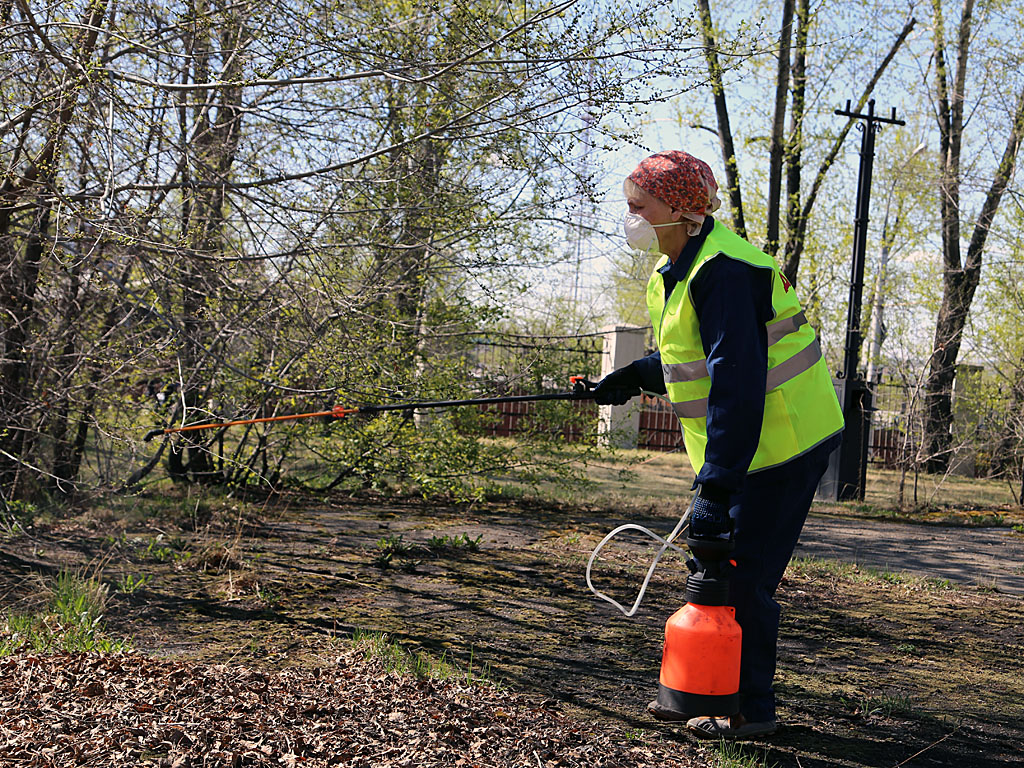 Противоклещевая обработка парковых зон, оставить навсегда