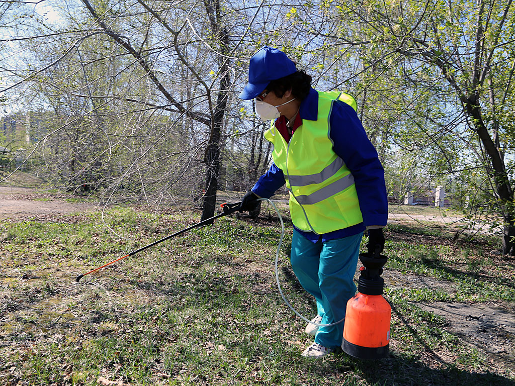 Противоклещевая обработка парковых зон, оставить навсегда