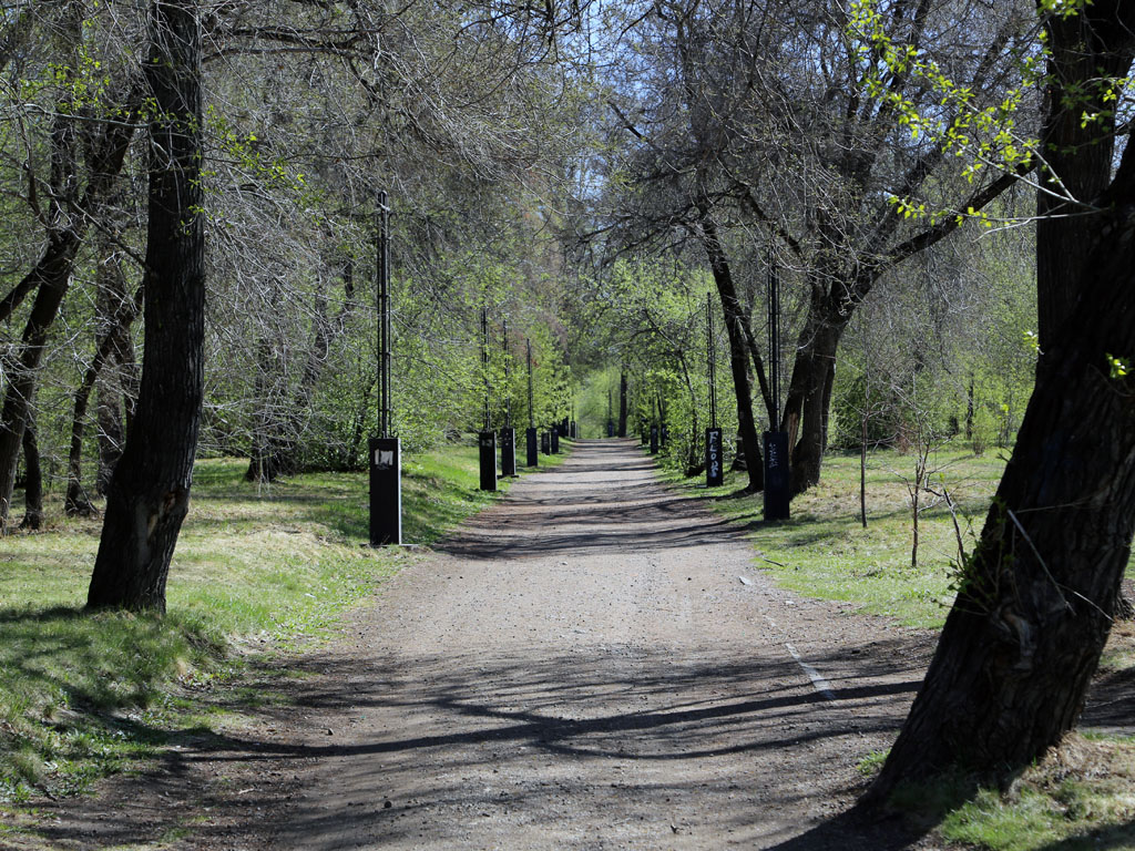 Противоклещевая обработка парковых зон, оставить навсегда