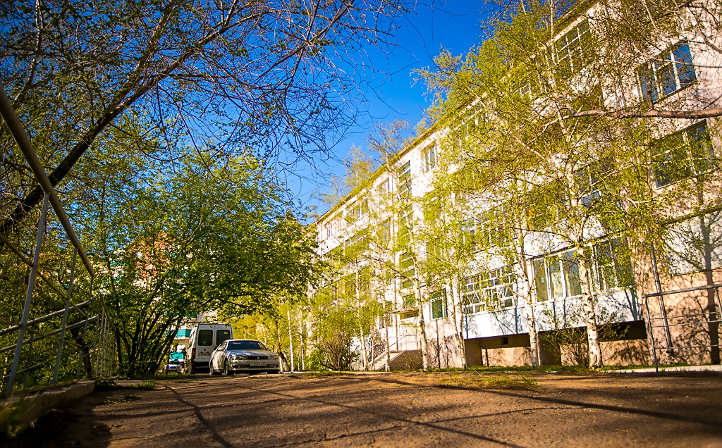 Цветущая яблоня и черемуха заполнили Улан-Удэ знакомыми ароматами и изобилием цветов