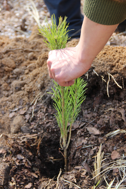 ФГБУ "Заповедное Прибайкалье"