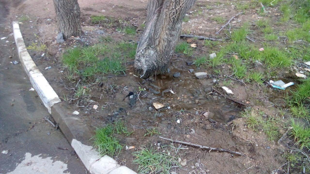 Третий месяц хабаровские коммунальщики в упор не видят самостийный источник