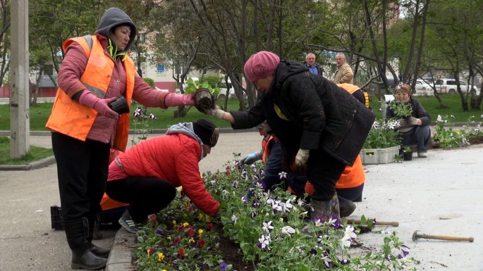 Посадка цветов