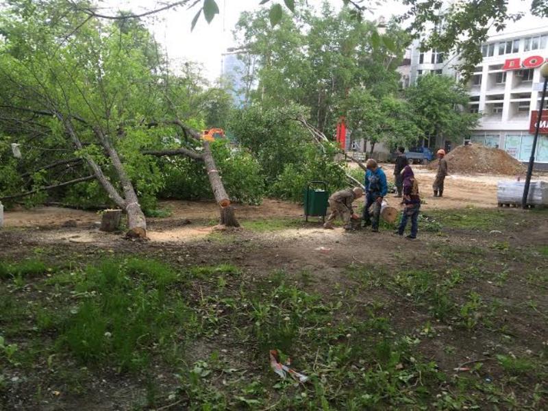 Рубка в парке Победы