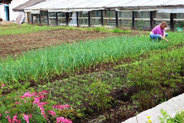 Посевная страда идет полным ходом в колонии-поселении ЕАО