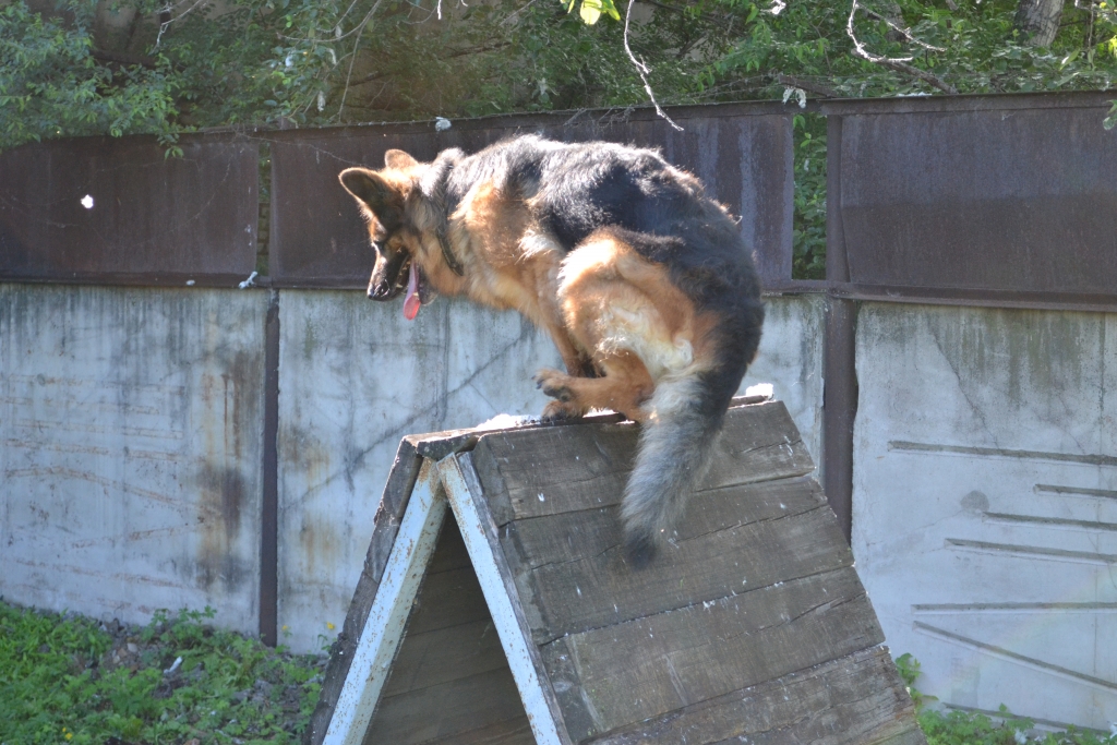 На занятиях