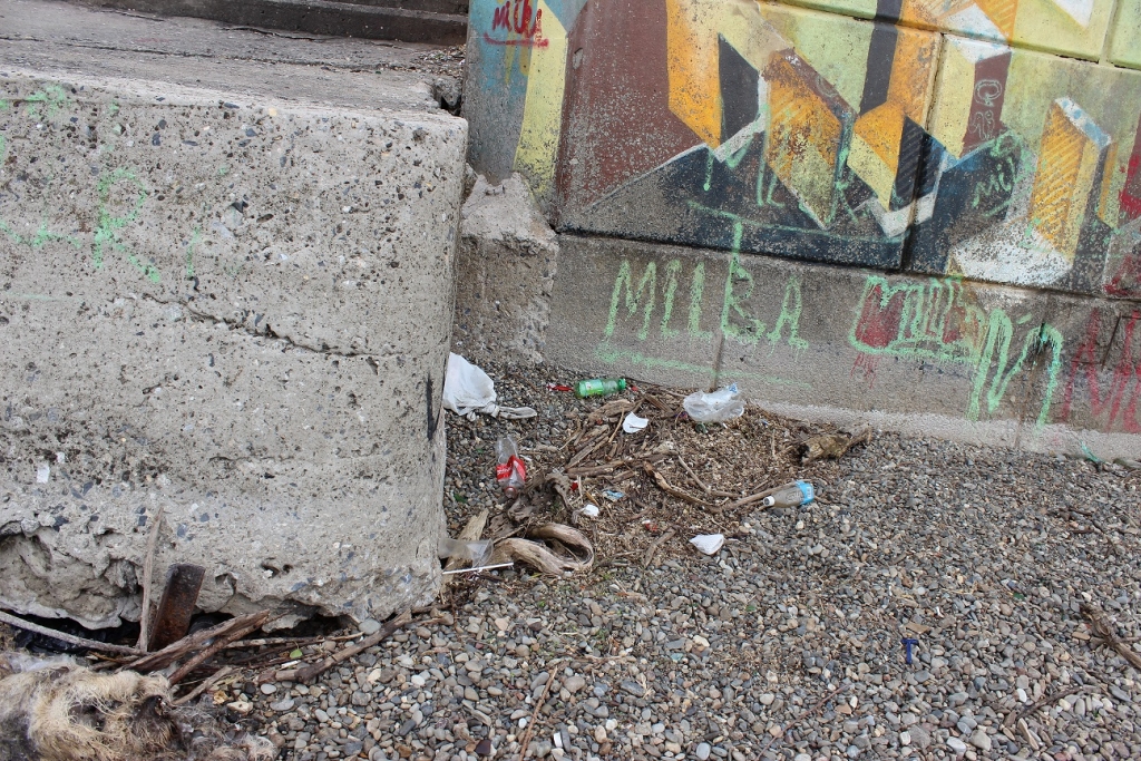 Самый грязный участок берега Амура никому не нужен в Хабаровске