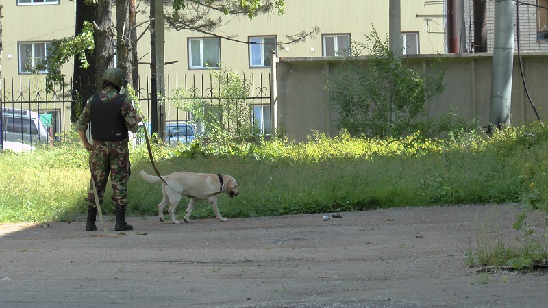 Сообщение о гранатах во дворе ПУ-3 подняло по тревоге все экстренные службы Биробиджана