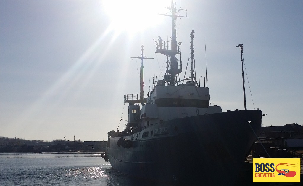 Креветка добывается рыболовным траулером "Советское"