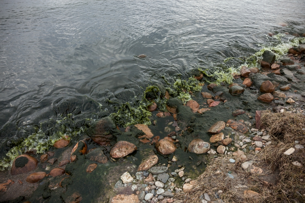 Загрязнение воды байкала. Река Селенга загрязнение Байкала. Река Селенга загрязняет Байкал. Река Селенга экология. Рекf селенгf загрязнение.