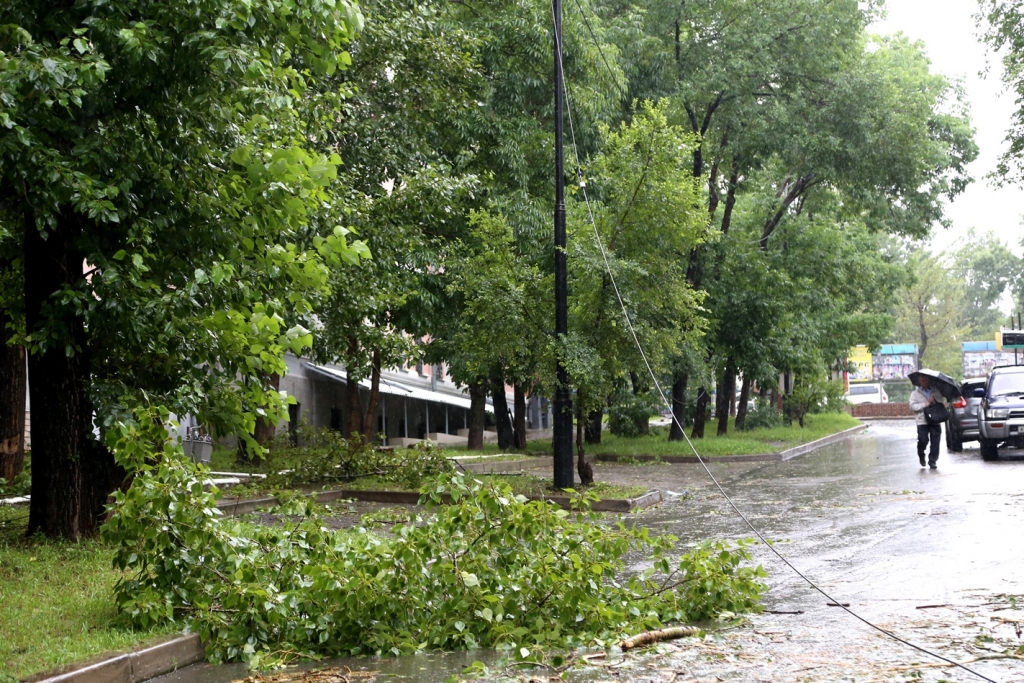 Плачевные последствия оставил после себя разбушевавшийся в Хабаровске тайфун "Чан-Хом"