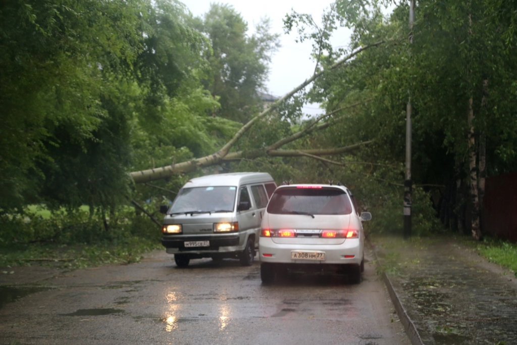Плачевные последствия оставил после себя разбушевавшийся в Хабаровске тайфун "Чан-Хом" Роман Федоров, корр. ИА AmurMedia