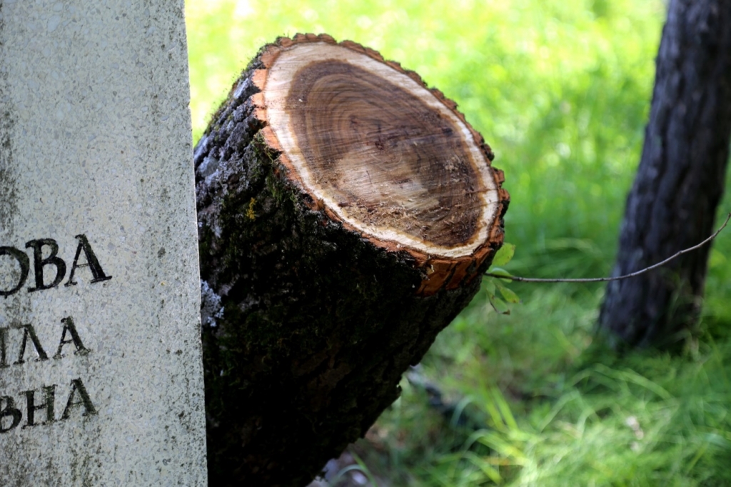 Тайфун "Чан-Хом" разворотил могилы на Центральном кладбище Хабаровска