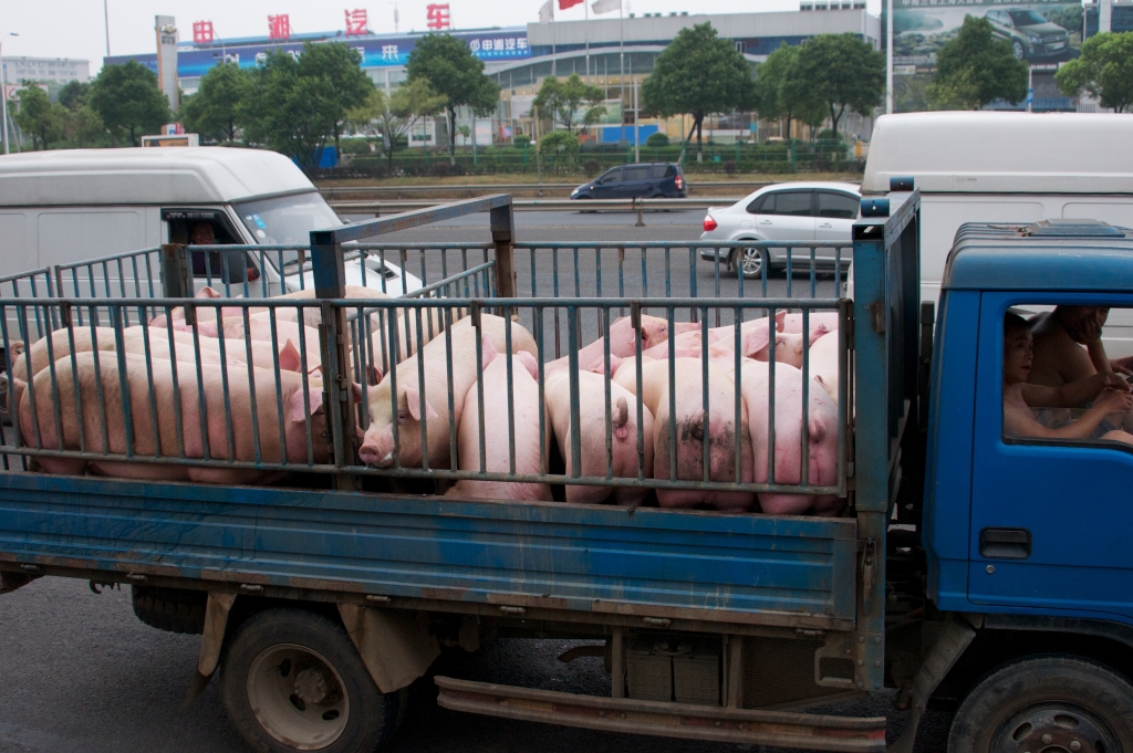 По дороге в Чанша