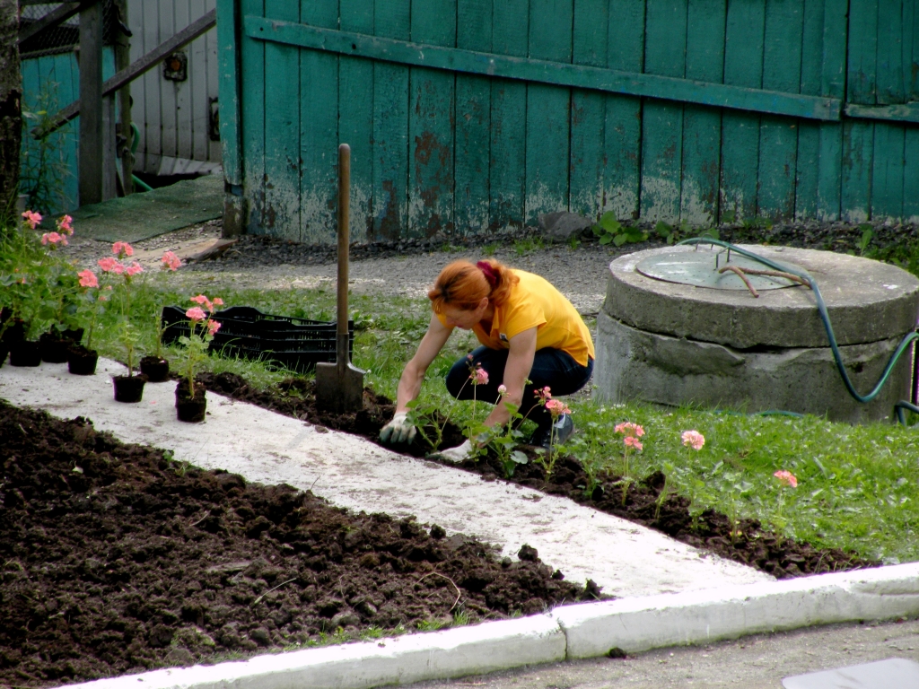 Работы участников фестиваля "Цветы Сахалина" украсили территорию зоопарка
