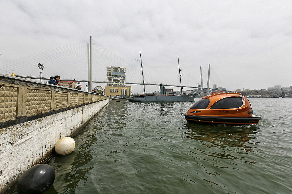 Морская "диковинка" Владивостока