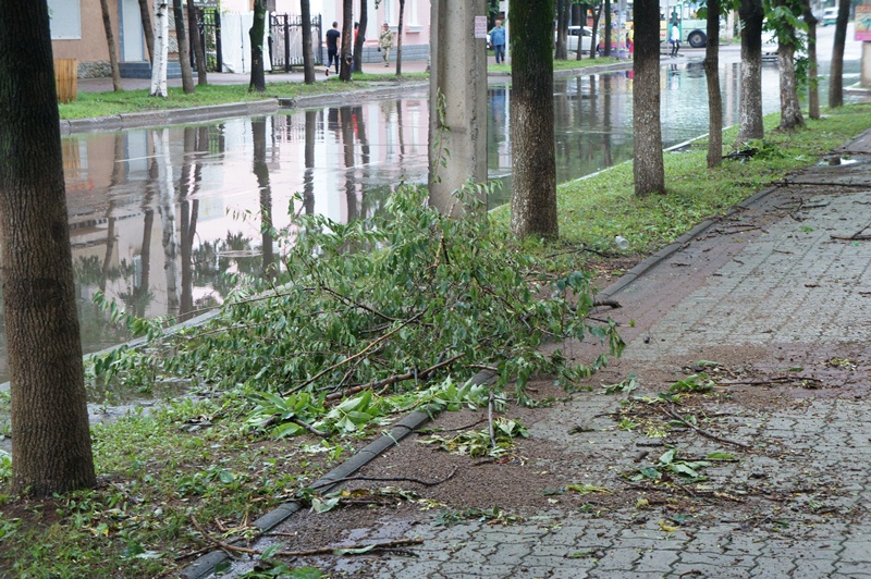 Ураганный ветер бушевал в Биробиджане 