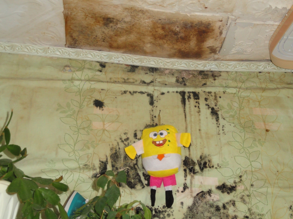 Жильцы хабаровской трущобы на проспекте 60-летия Октября судятся за право жить в удобствах