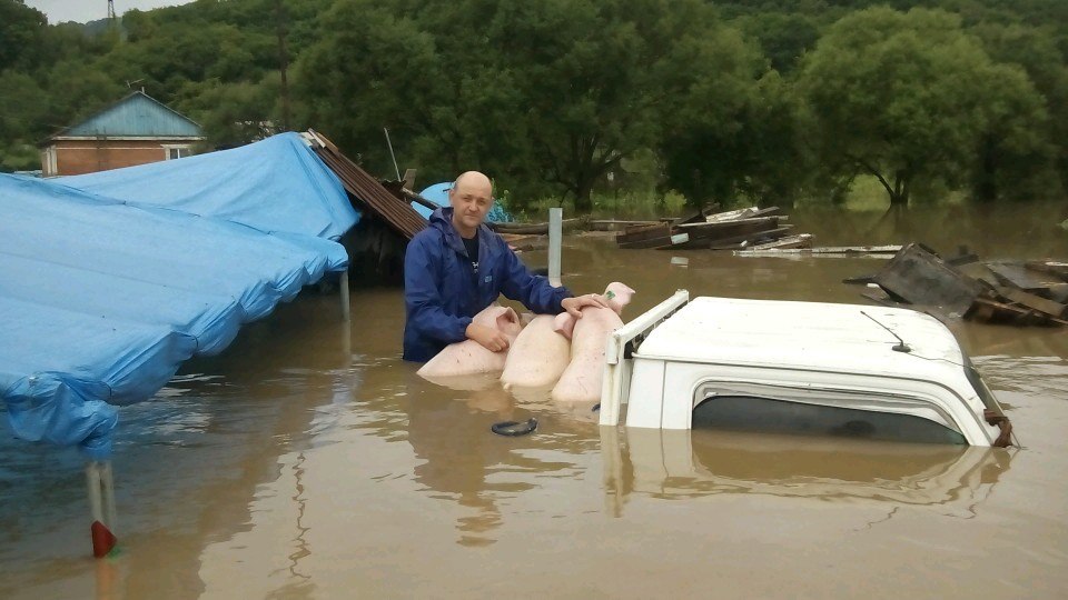 Житель села Екатериновка спасает свиней на кузове грузовика