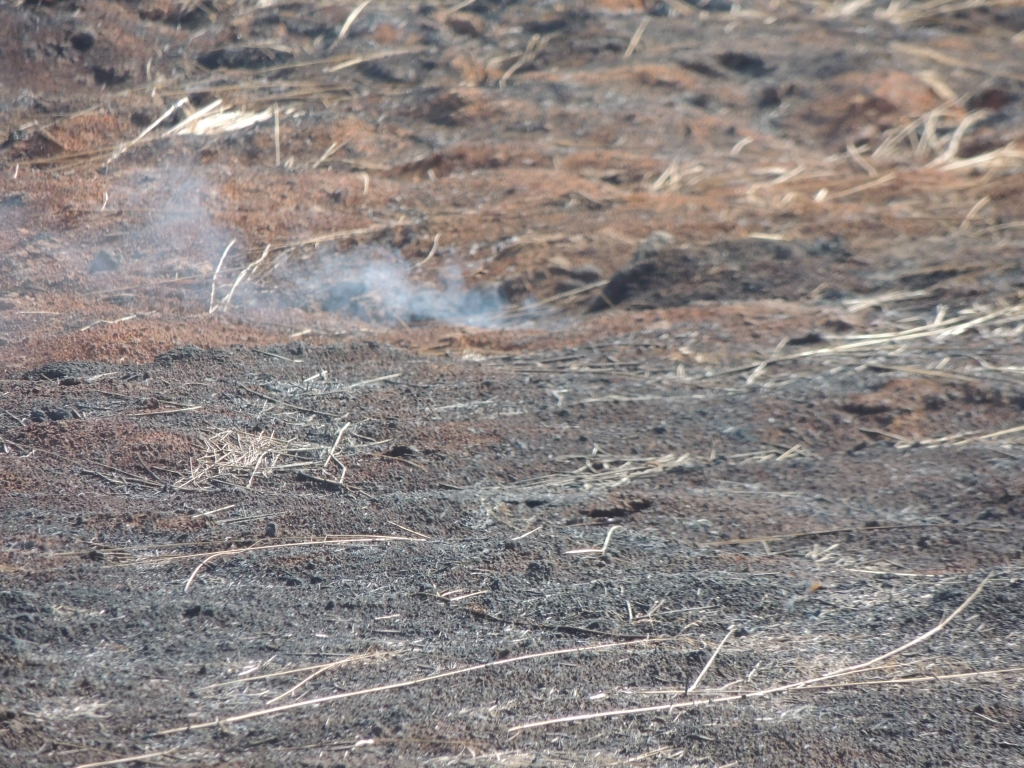 Торфяные пожары