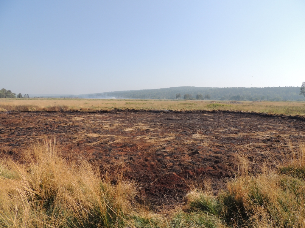 Торфяные пожары