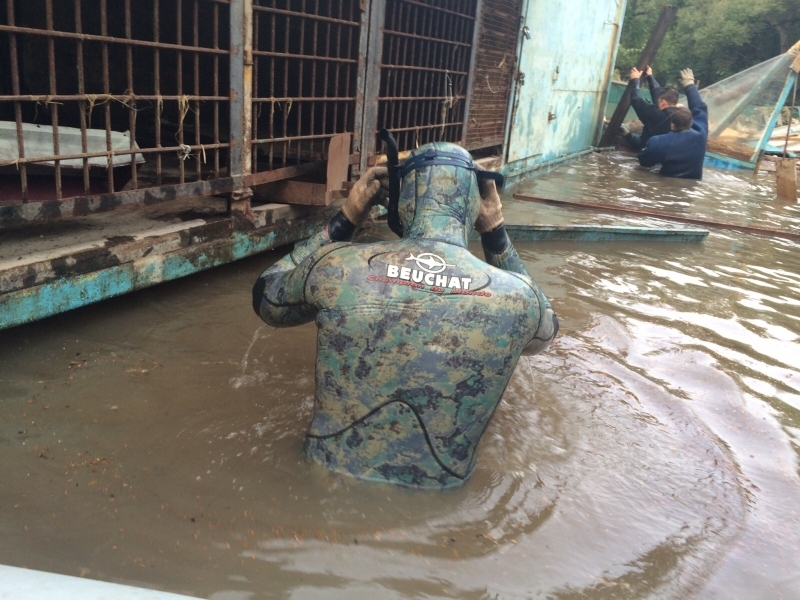 Вертолет хабаровских спасателей эвакуирует животных из затопленного уссурийского зоопарка