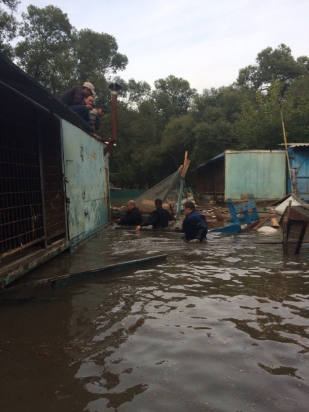 Вертолет хабаровских спасателей эвакуирует животных из затопленного уссурийского зоопарка