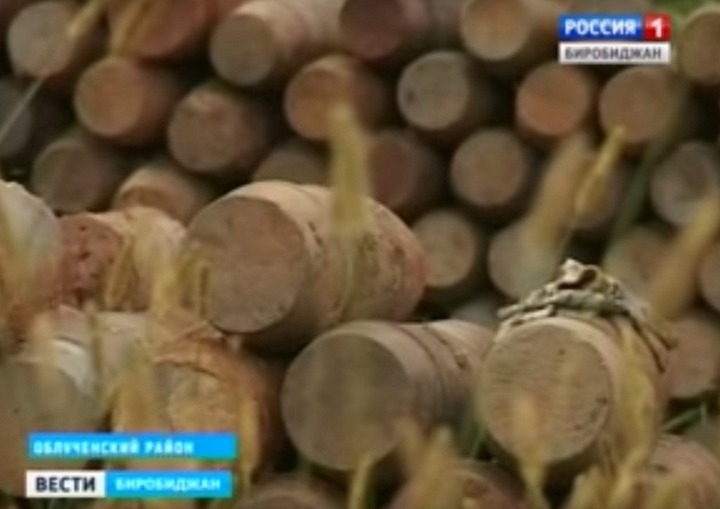 Столько боеприпасов видеть еще не приходилось