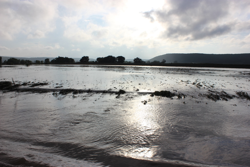 Вода уходит из Приморья