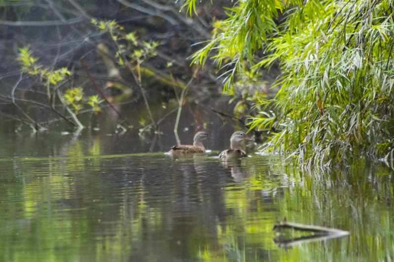 Фотоконкурс завершен