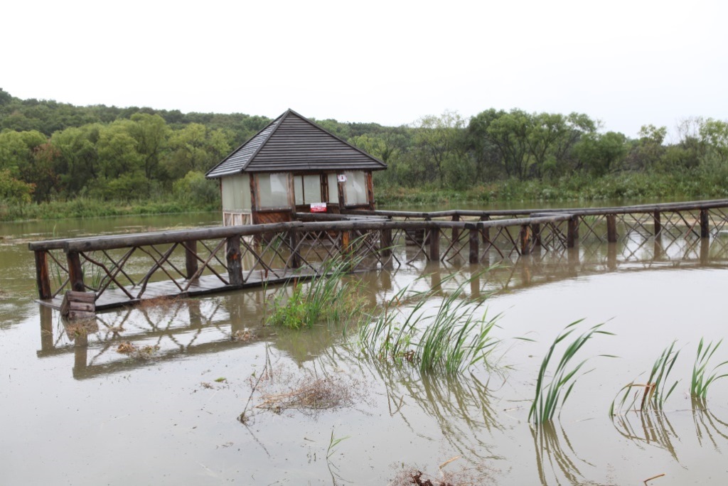 Последствия первой волны паводка в "Изумрудной долине"