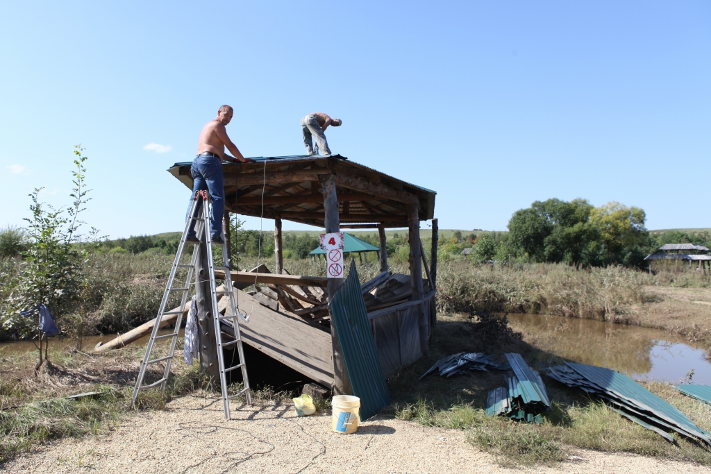 Волонтеры в "Изумрудной долине"
