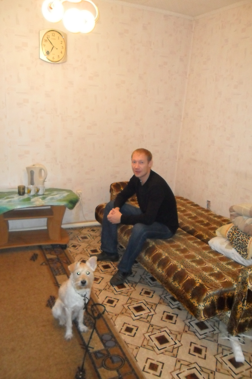 Хозяевам домашних питомцев в Хабаровске для защиты их интересов нужна "дорожная карта"