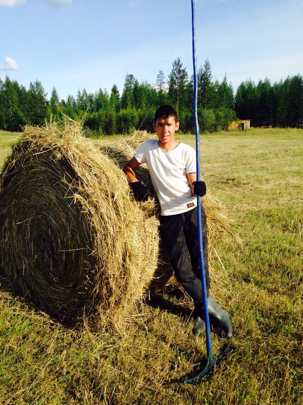 Бойцы студенческих отрядов помогут сенокосчикам в северных районах Якутии