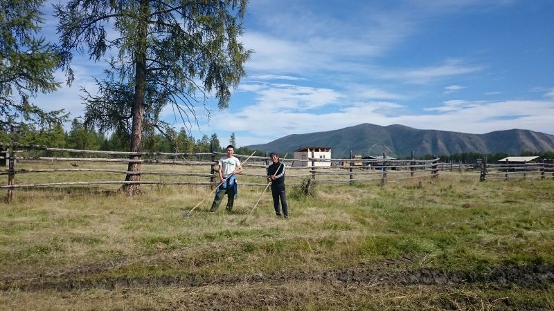 Бойцы студенческих отрядов помогут сенокосчикам в северных районах Якутии