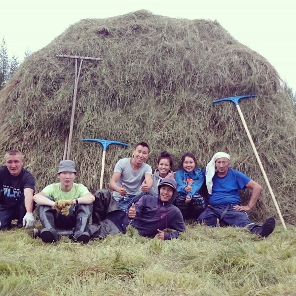 Бойцы студенческих отрядов помогут сенокосчикам в северных районах Якутии