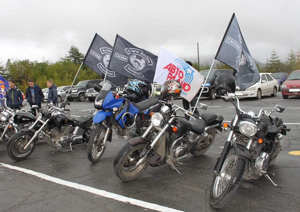 "Полярные совы"