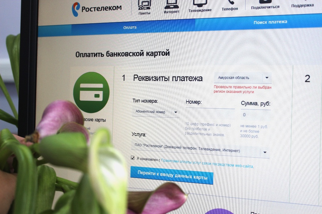 Альтернативные способы оплаты услуг связи предлагает "Ростелеком" абонентам в ЕАО Предоставлено компанией
