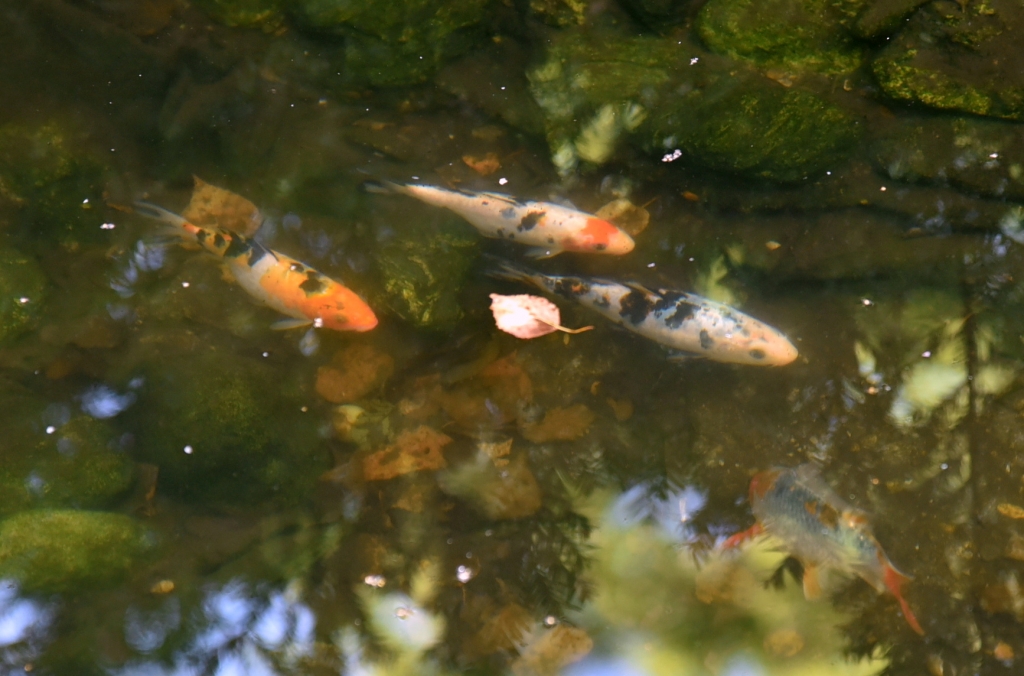 Краеведческий музей