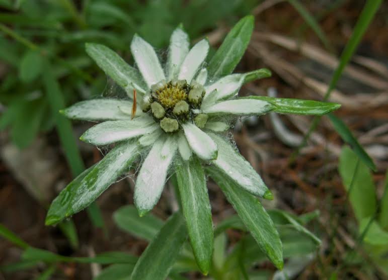Фотовыставку о природе в Хабаровском крае пришлось открывать дважды