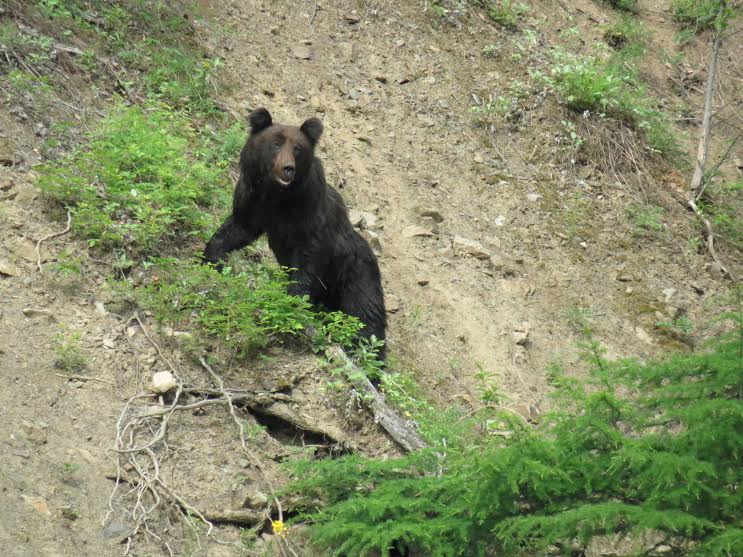 Фотовыставку о природе в Хабаровском крае пришлось открывать дважды