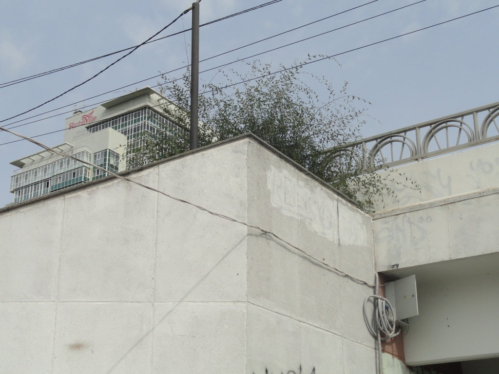 Мэр Хабаровска приказал открыть половину подземного перехода через улицу Дикопольцева