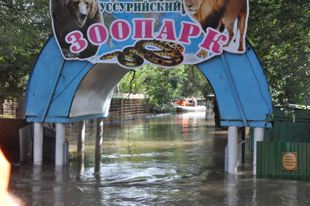 Затопленный зоопарк в парке "Зеленый остров" Пресс-служба администрации Уссурийска